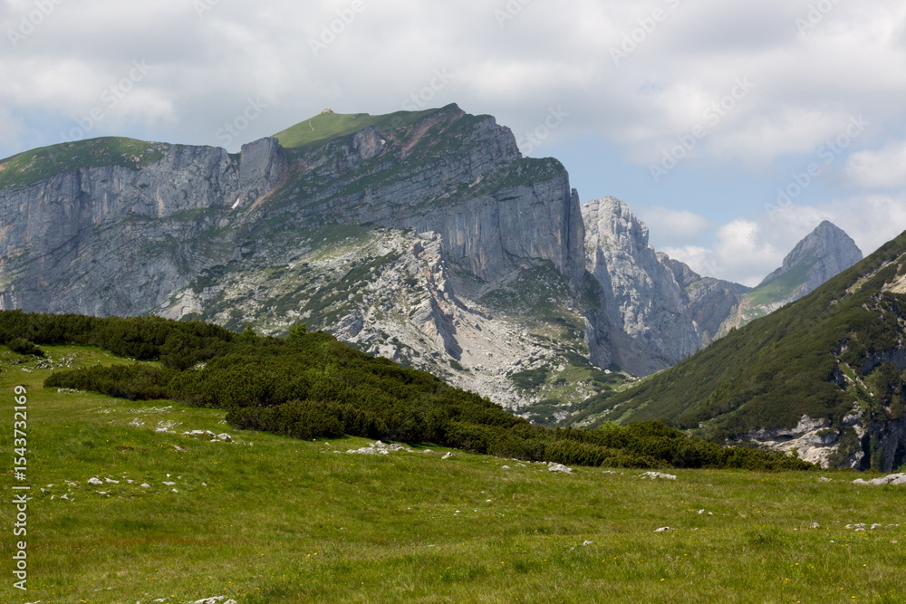 Fototapeta premium Exploring the scenic vistas of Zireinersee lake area in Tyrol, Austria, where majestic mountains rise above lush green meadows under a partly cloudy sky