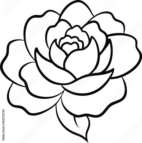 Peony flower black line drawing vector illustration