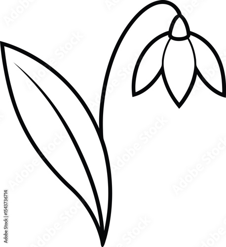 Snowdrop flower head black line drawing vector illustration