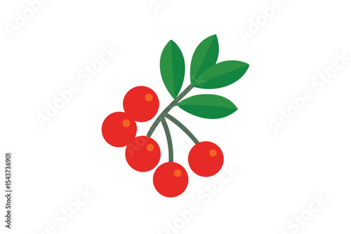 mountain ash berries doodle style illustration