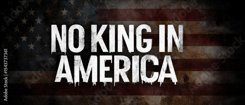 No king in america political activism usa graphic