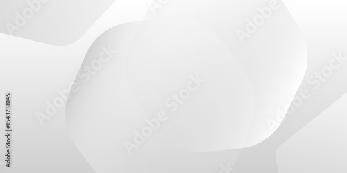 Abstract minimalist white and gray curve simple background. texture white pattern. illustrations art
