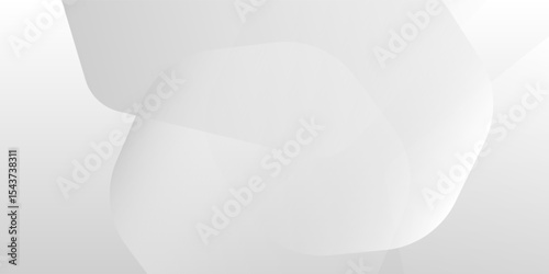 Abstract minimalist white and gray curve simple background. texture white pattern. illustrations