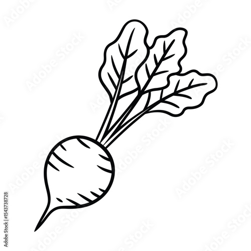 Hand-Drawn Illustration of a Beetroot