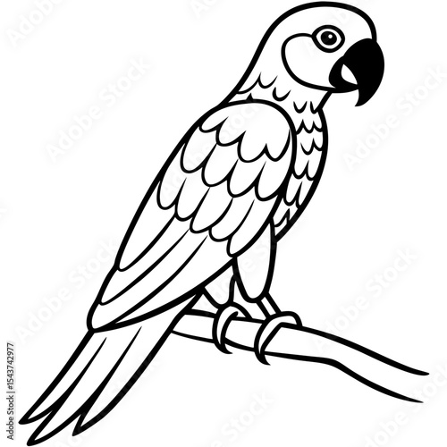 Minimal Parrot Perch Vector