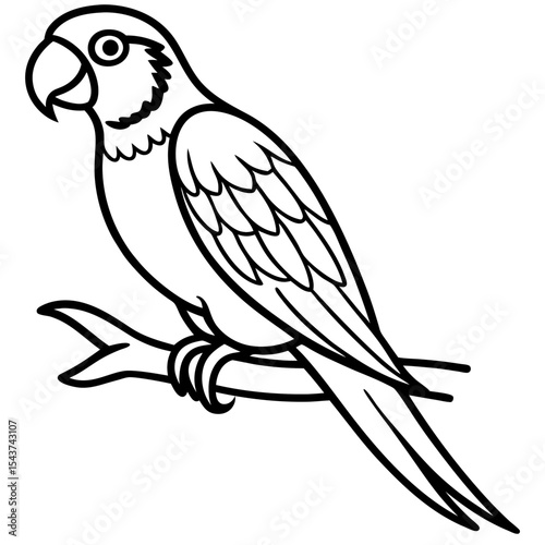 Minimal Parrot Perch Vector