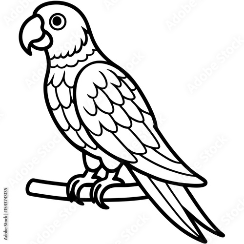Minimal Parrot Perch Vector