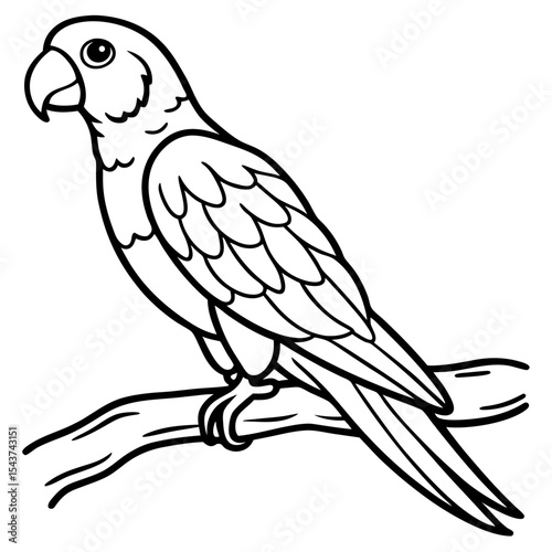 Minimal Parrot Perch Vector