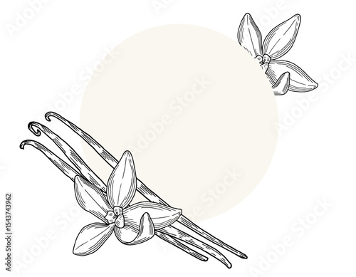 Vanilla Flower with Sticks round frame composition. Vector hand drawn illustration of orchid Flower and pods. Drawing on isolated background. Outline drawing of spice. 