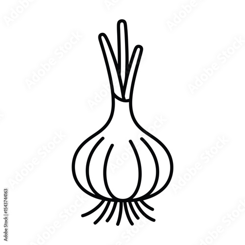 Simple Line Drawing of a Single Garlic Bulb