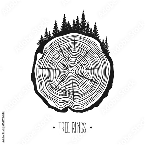 Round tree trunk cut with trees and forest. Sawn pine or oak slice, lumber. Saw cut timber, wood. Brown wooden texture with tree rings. Hand drawn sketch. Vector illustration