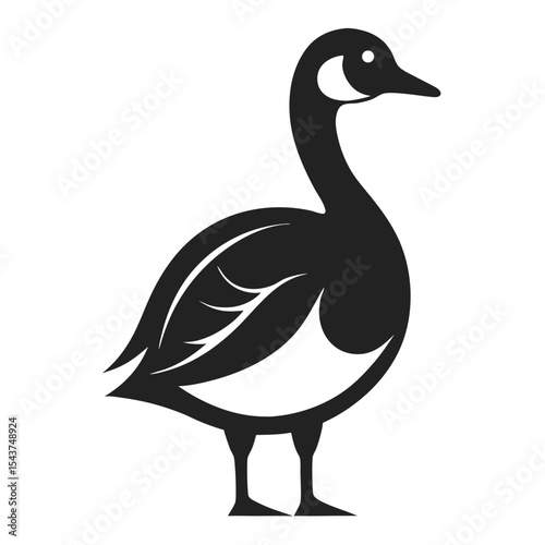 duck on a white background