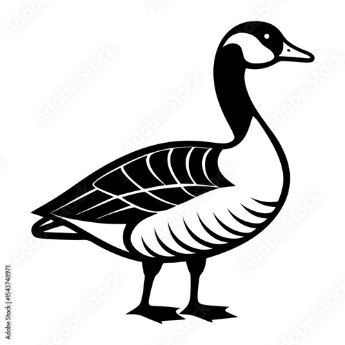 duck on a white background