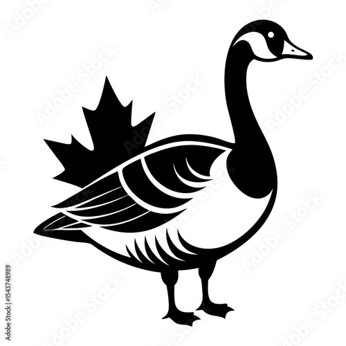 duck on a white background