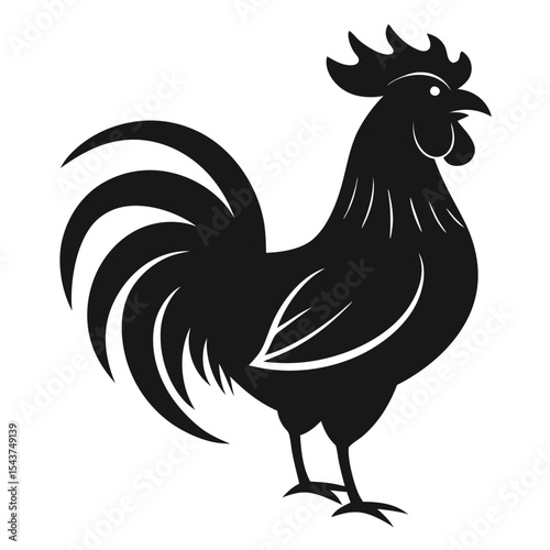 rooster isolated on white background