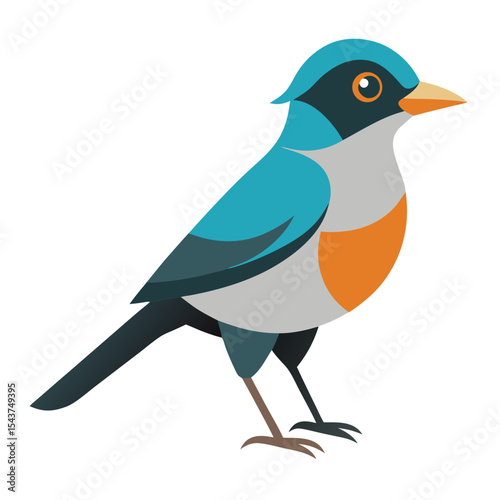  bird vector illustration