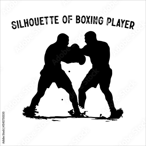 Silhouette of a Boxer in Fighting Stance.