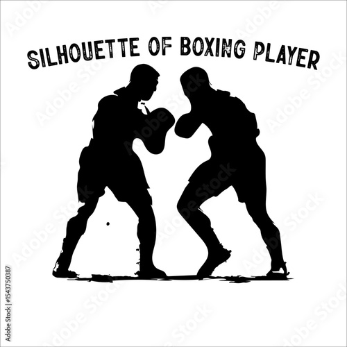 Silhouette of a Boxer in Fighting Stance.