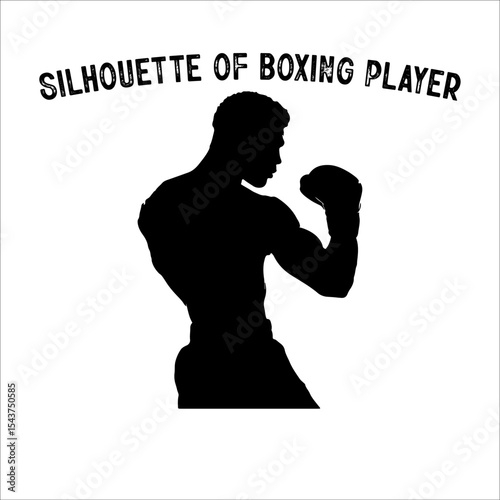 Silhouette of a Boxer in Fighting Stance.