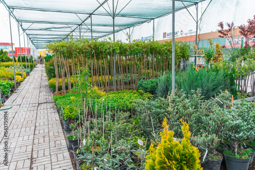 Greenhouse or nursery of various plants and trees for a vegetable garden, plant store