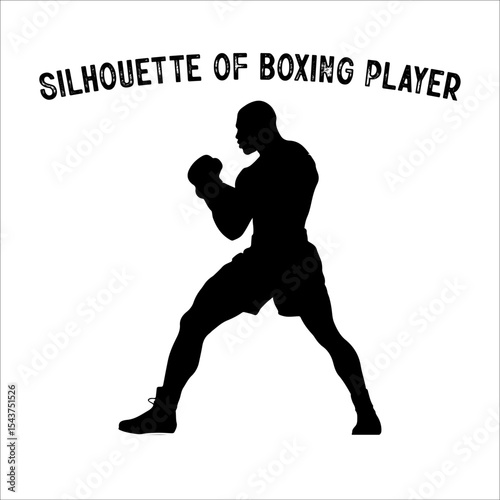 Silhouette of a Boxer in Fighting Stance.