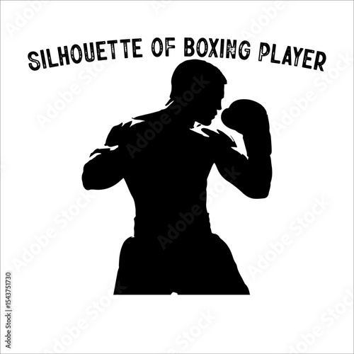 Silhouette of a Boxer in Fighting Stance.