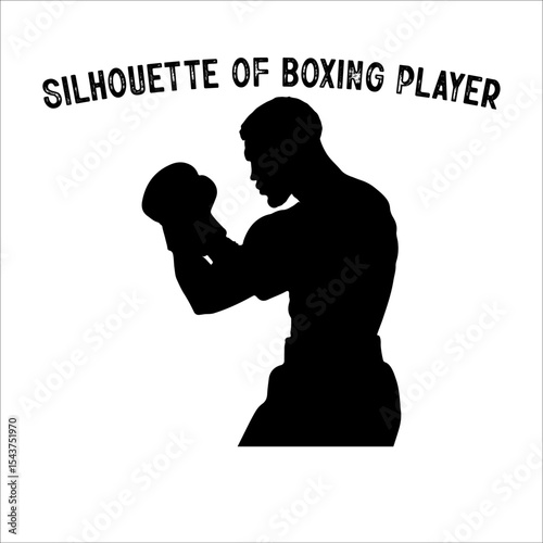 Silhouette of a Boxer in Fighting Stance.