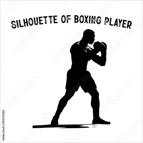 Silhouette of a Boxer in Fighting Stance.