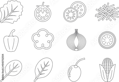 Outline drawing of various vegetables including lettuce and corn on white