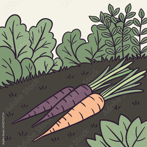 The main content shows fresh root vegetables - purple carrots and regular carrots with green stems - lying on dark soil with green foliage in the background