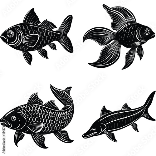 Elegant Black and White Fish Illustrations Koi, Goldfish, and More