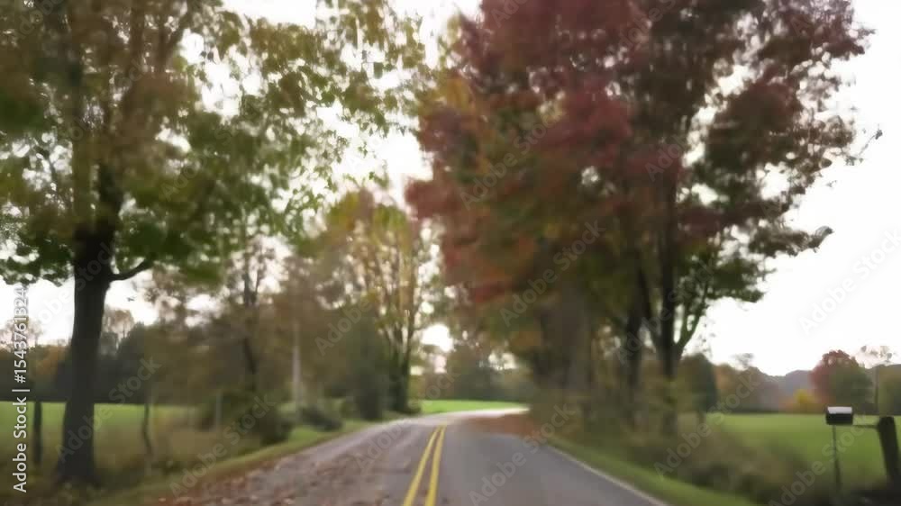 Autumnal Road Through Trees Autumnal Road Through Trees