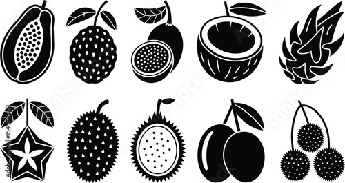 Collection of black and white tropical fruits in vector graphic illustration