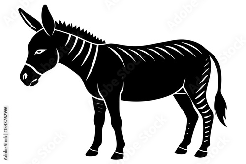 black and white horse