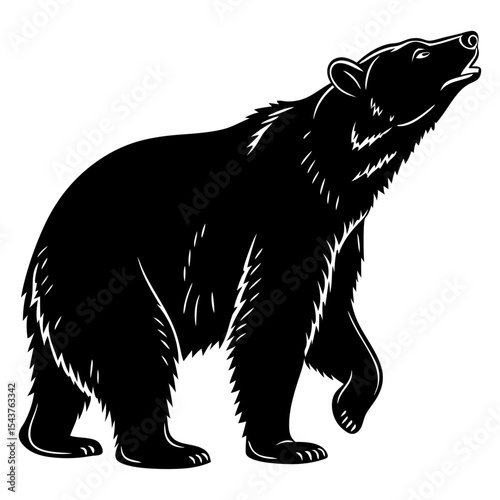 vector illustration of a bear silhouette