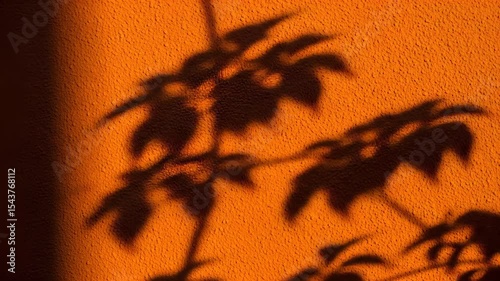 Orange Wall Shadows of Leaves - Still Life