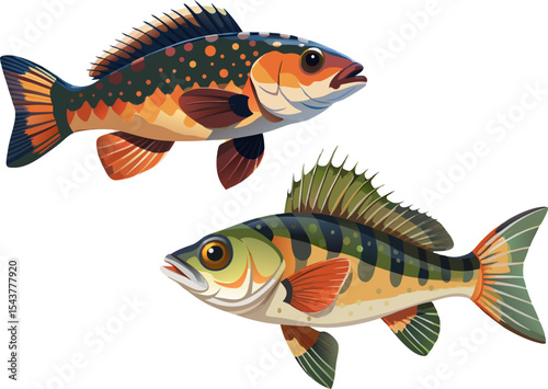 A climbing perch with stubby fins and spotted body on white background