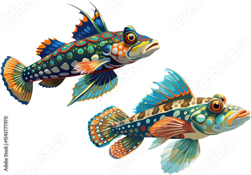 A dragonet fish with intricate skin patterns isolated on white Background
