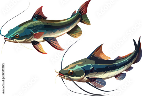 A catfish with long whiskers and slick body on plain white. background