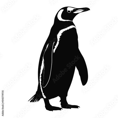 Magellanic Penguin Black and White Silhouette Illustration Antarctic Wildlife Bird Graphic