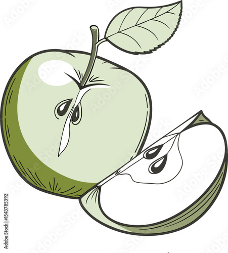 Green Apple Illustration A Fresh and Crisp Vector Graphic of a Sliced Apple with Leaf