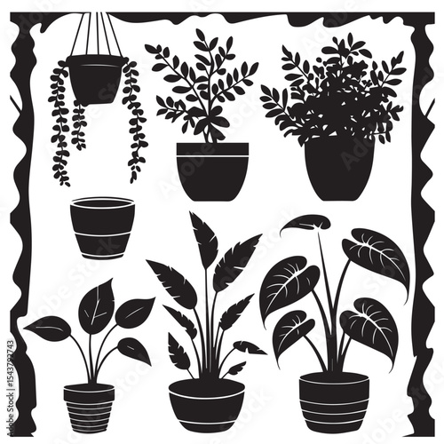Collection of black and white silhouette houseplants in pots