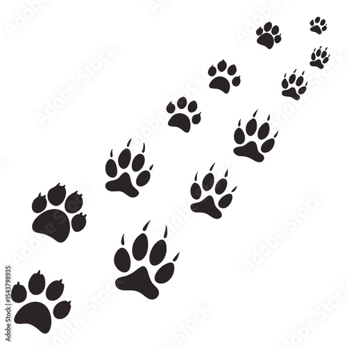Diagonal trail of black animal paw prints with and without claws on a white background image art