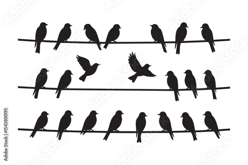 Birds Sitting on Wires Silhouette Vector 