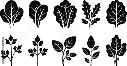 Collection of various black and white leafy herbs and vegetables icons set
