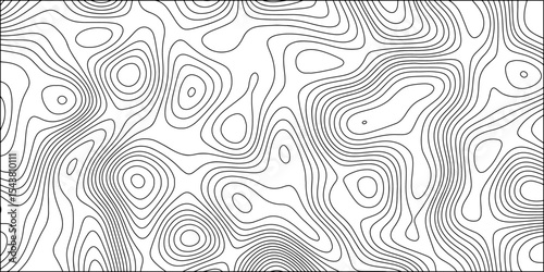 Abstract Black and white background vector, topographic contours map background. Wave Line topography map contour. Terrain lines, with varying line and featuring organic pattern
