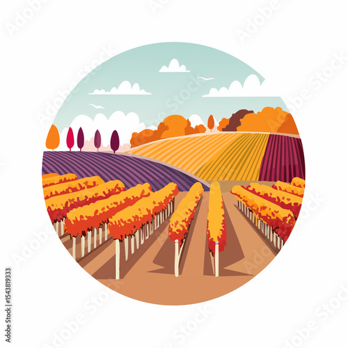 vector colorful vineyard in autumn