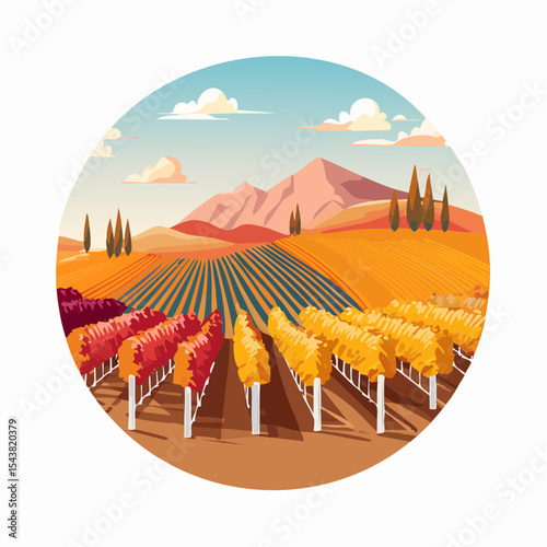 vector colorful vineyard in autumn