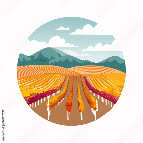 vector colorful vineyard in autumn
