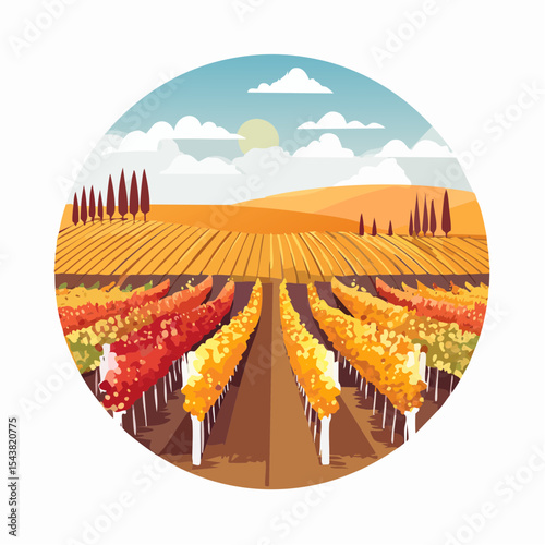vector colorful vineyard in autumn